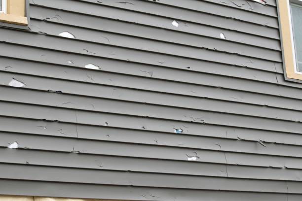 Best Siding Removal and Disposal  in Smiths Station, AL