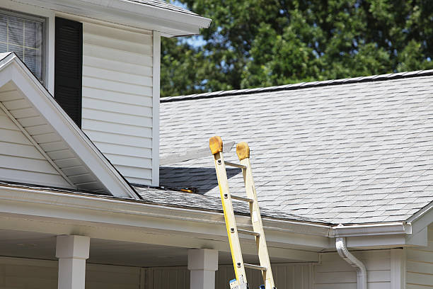 Best Custom Trim and Detailing for Siding  in Smiths Station, AL