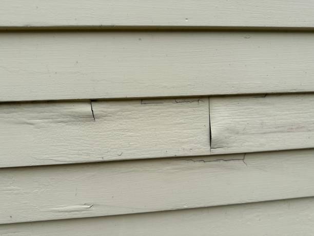 Best Siding for New Construction  in Smiths Station, AL